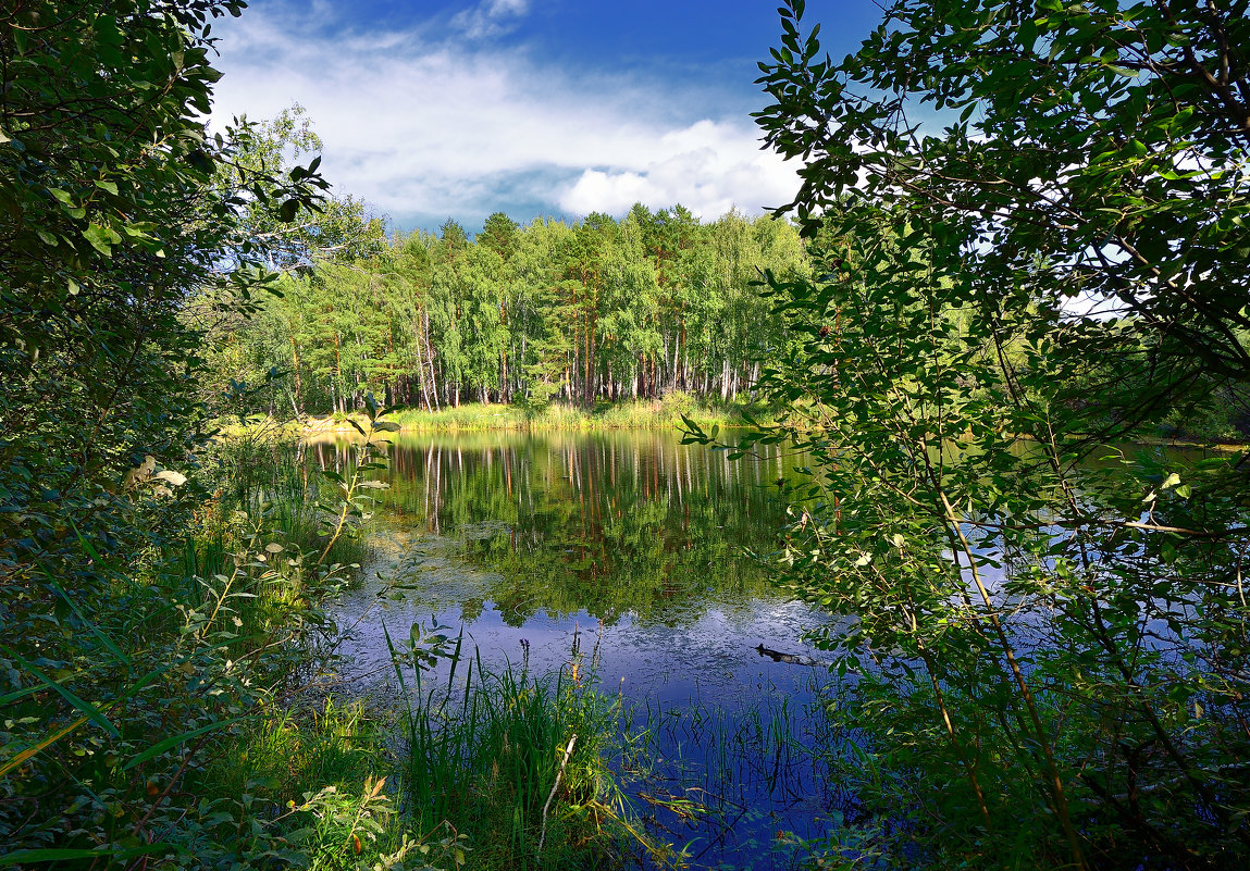 Озеро в лесу. - Сергей Адигамов