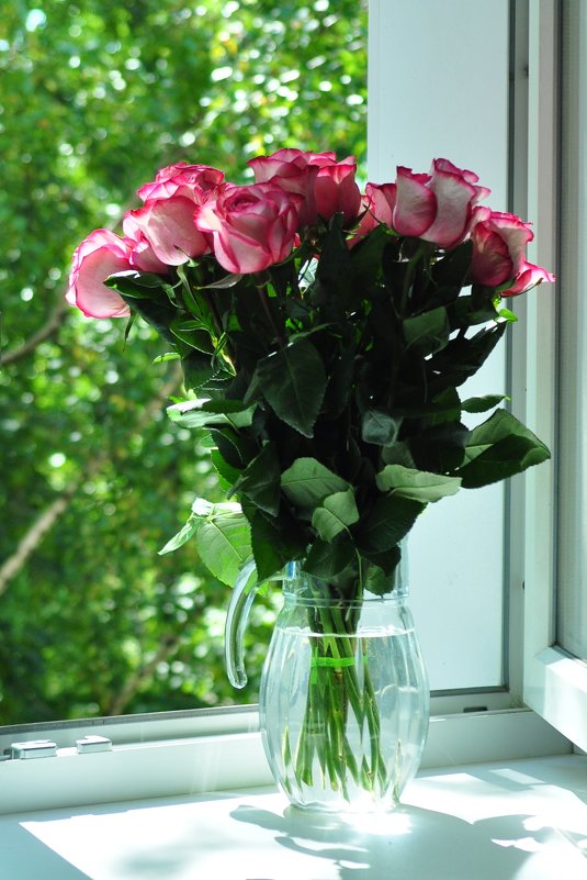 Розовые розы - Katherine 