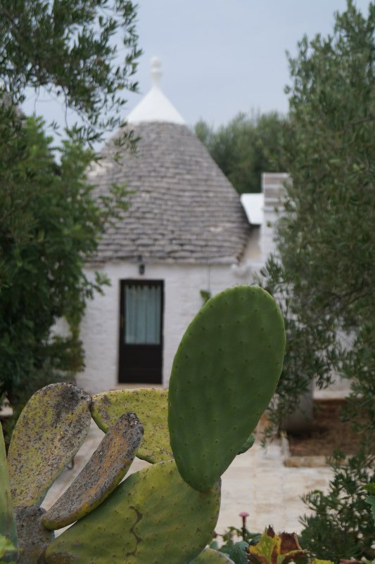 Alberobello - Irene 