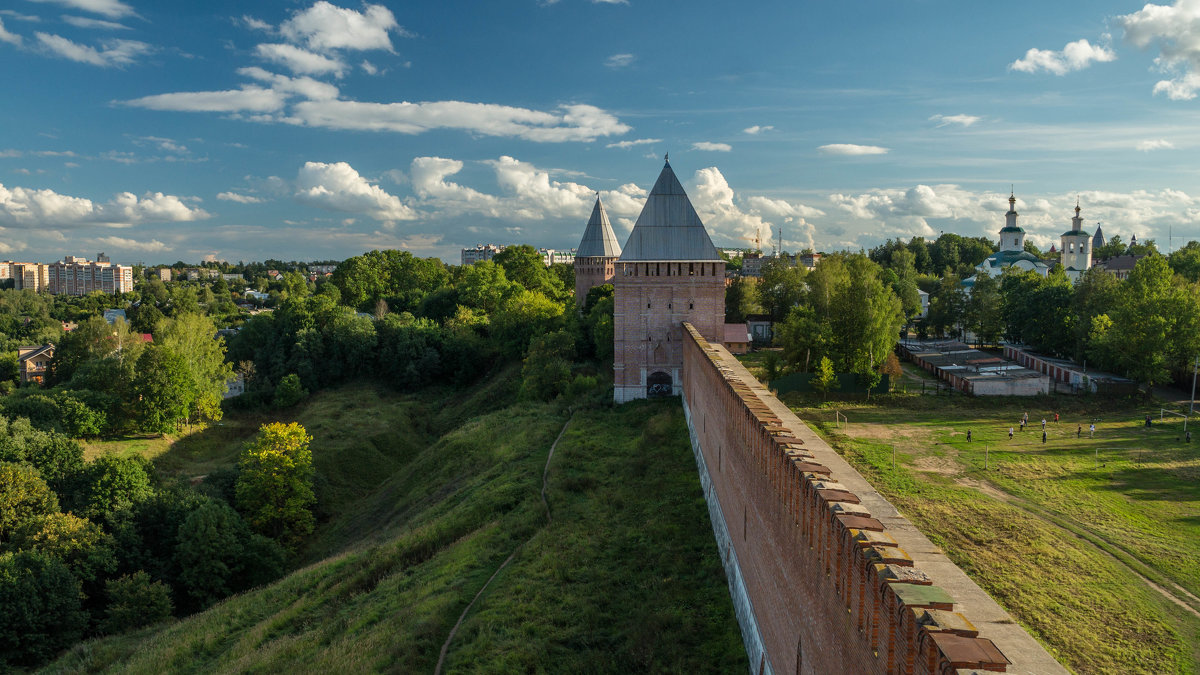 *** - Олег Козлов