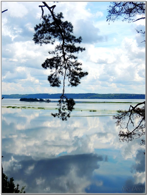 Между небом и водой - Николай Дементьев 