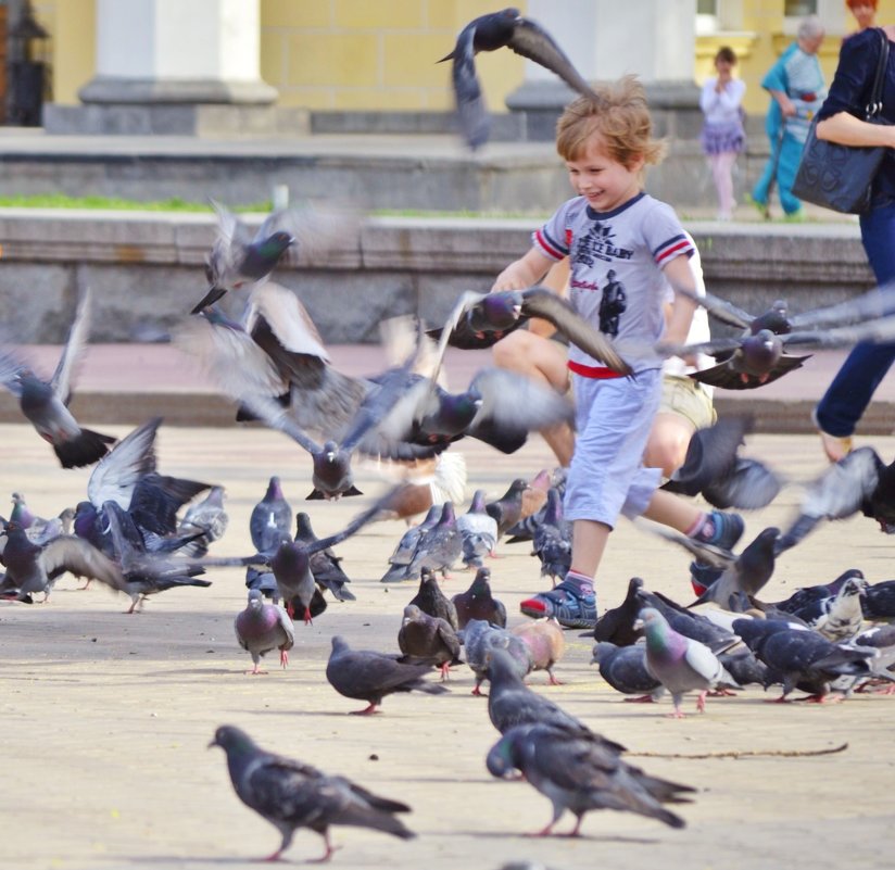 Ребенок и голуби 2 - Дмитрий Бабаев