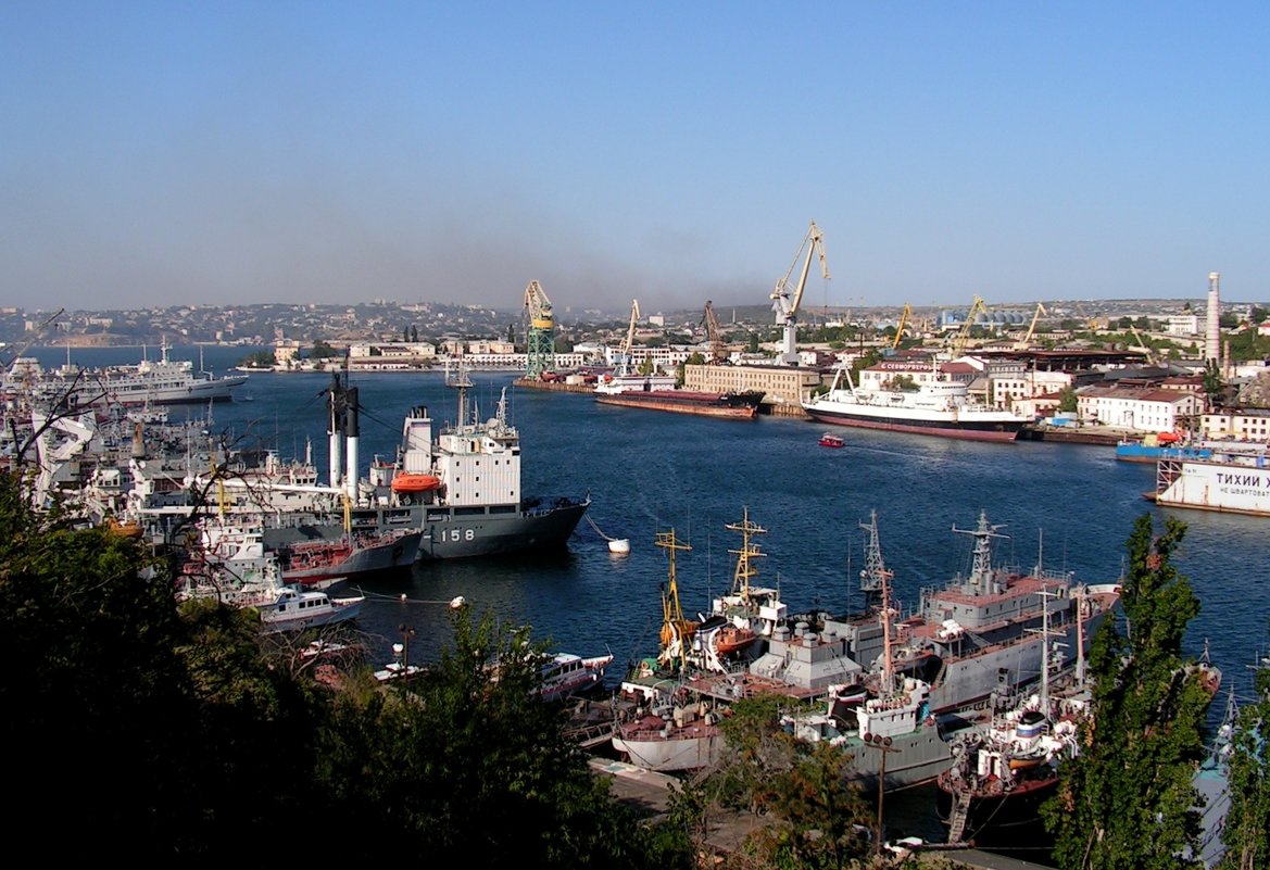 Вид на Южную бухту в Севастополе - Елена Даньшина