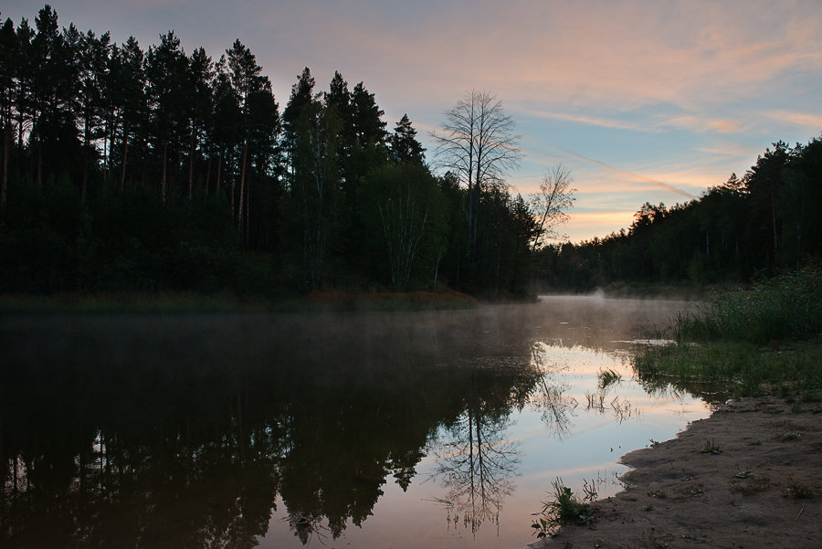 Восход в лесу - Александр Бакаев