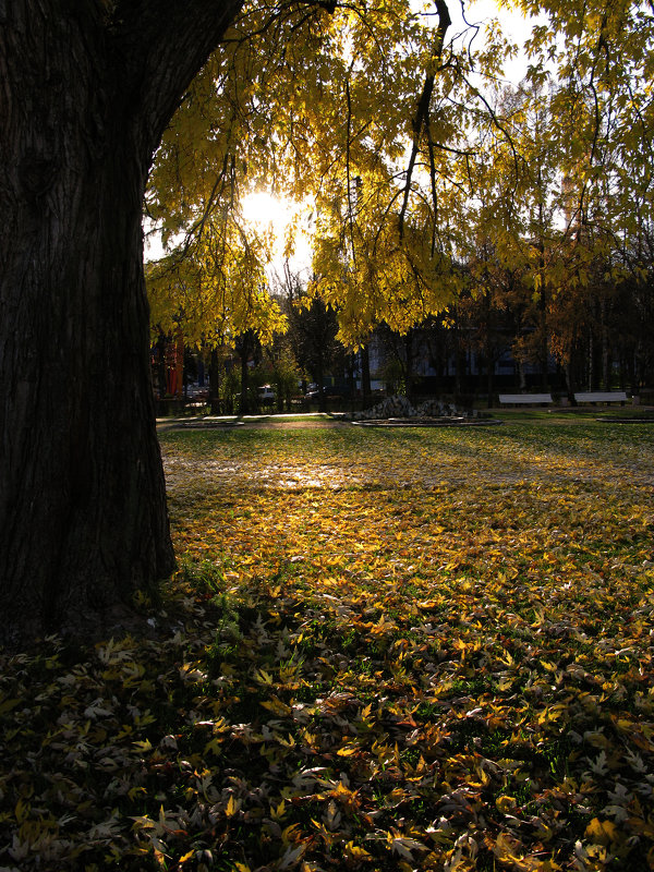 Осенний пейзаж - Aioneza (Алена) Московская