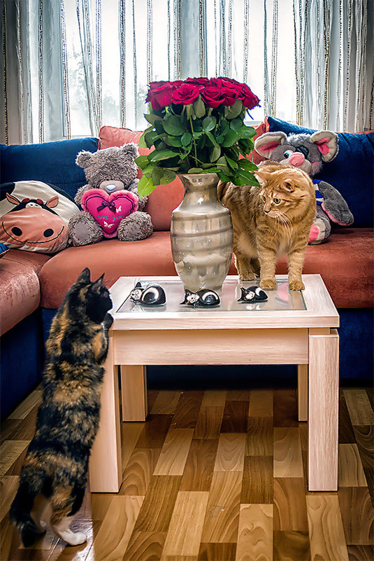Коты и розы - Александр Буслов