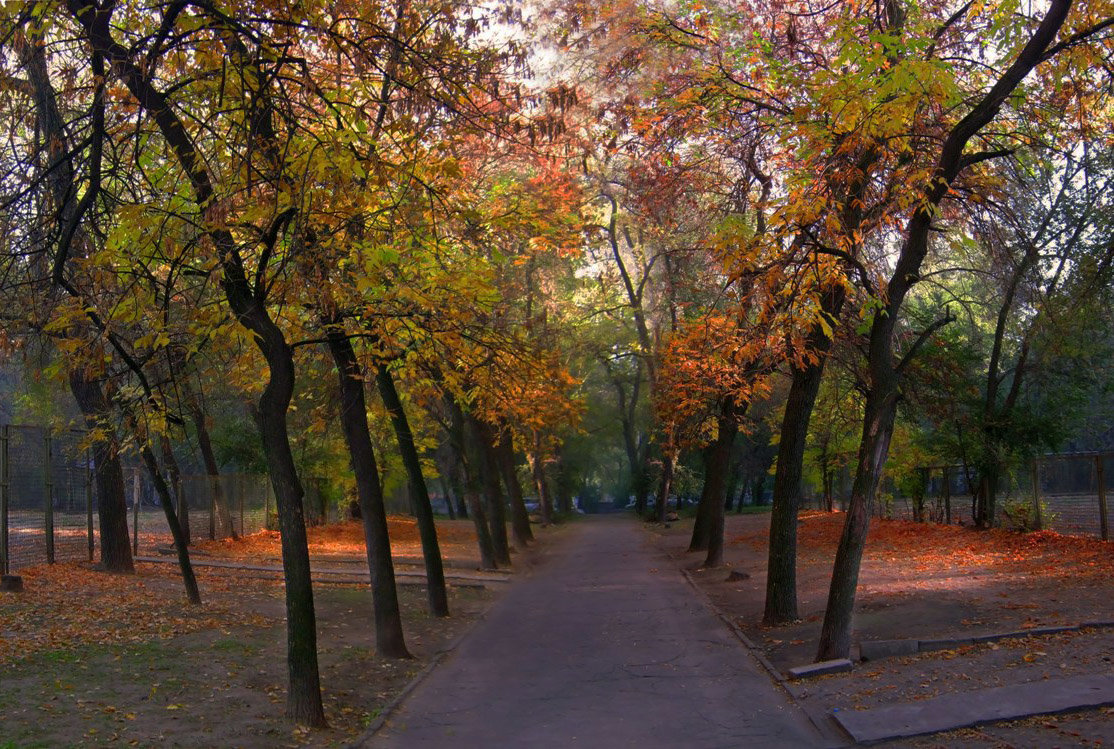 ГОРОДСКАЯ ОСЕНЬ - Егор Плетенец