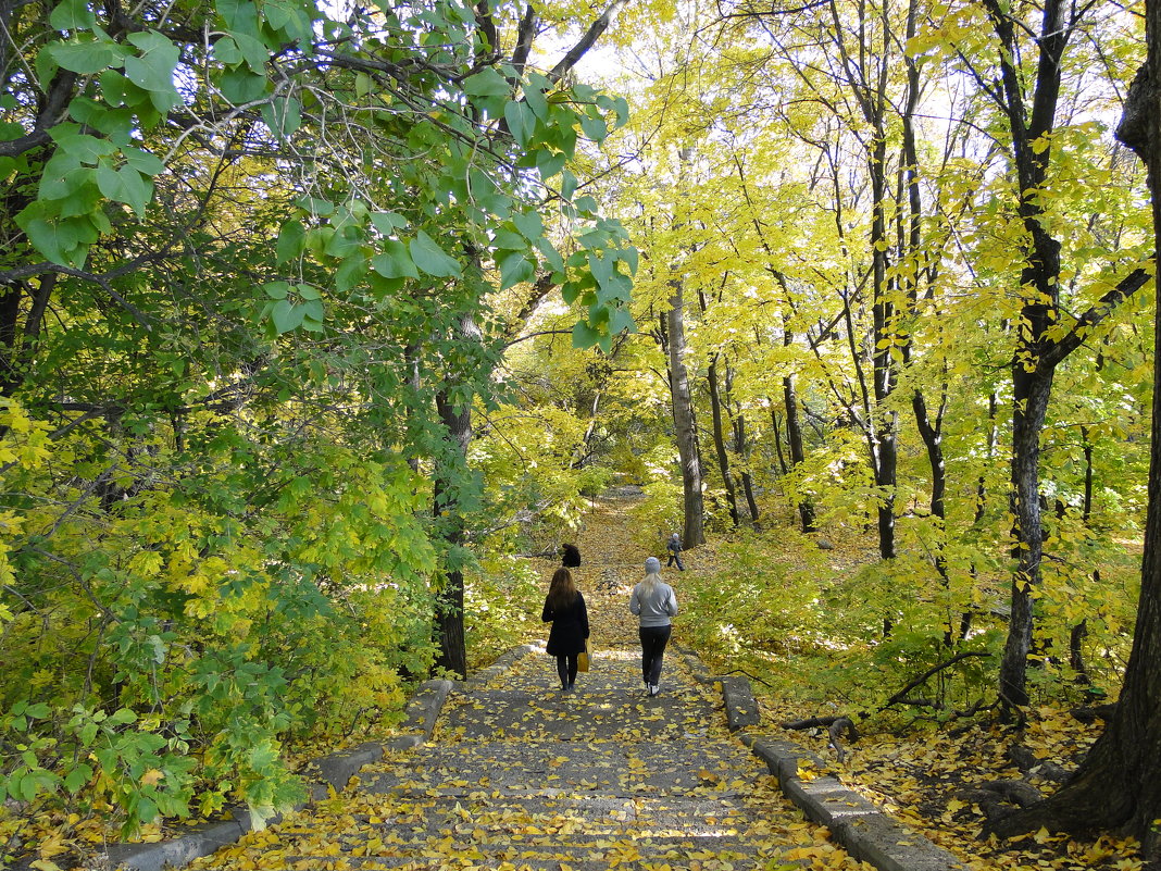 В старом парке - Елена Шемякина