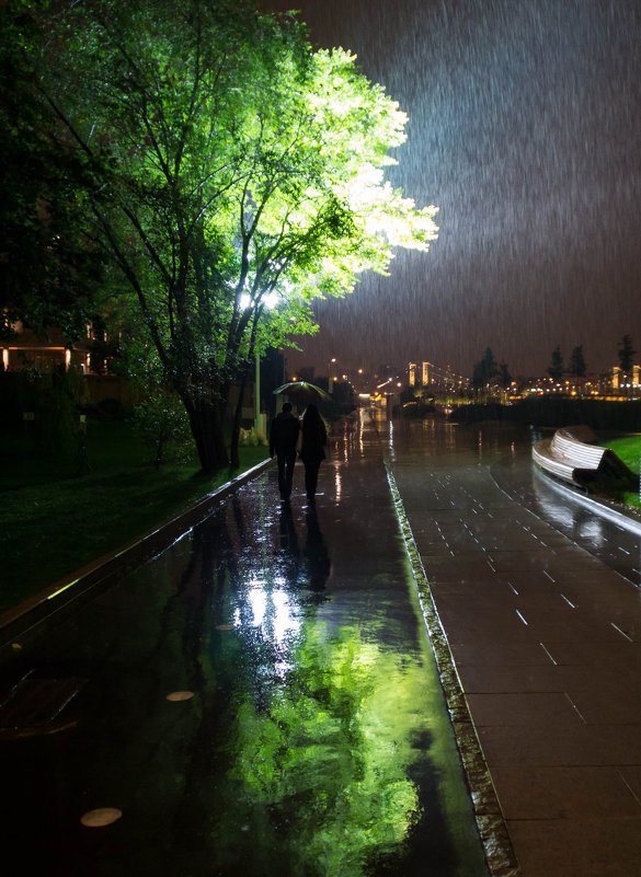Дождливая Москва - Панова Ольга