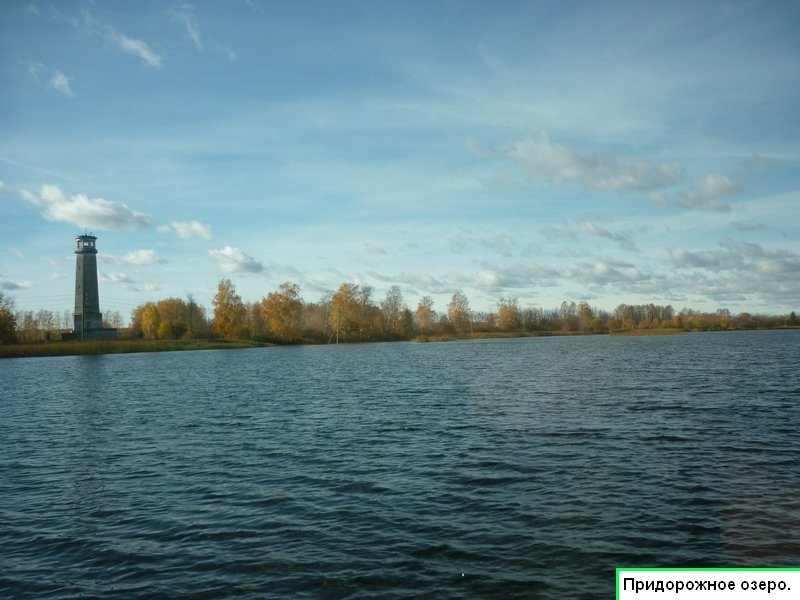 Придорожное озеро - Татьяна Юрасова