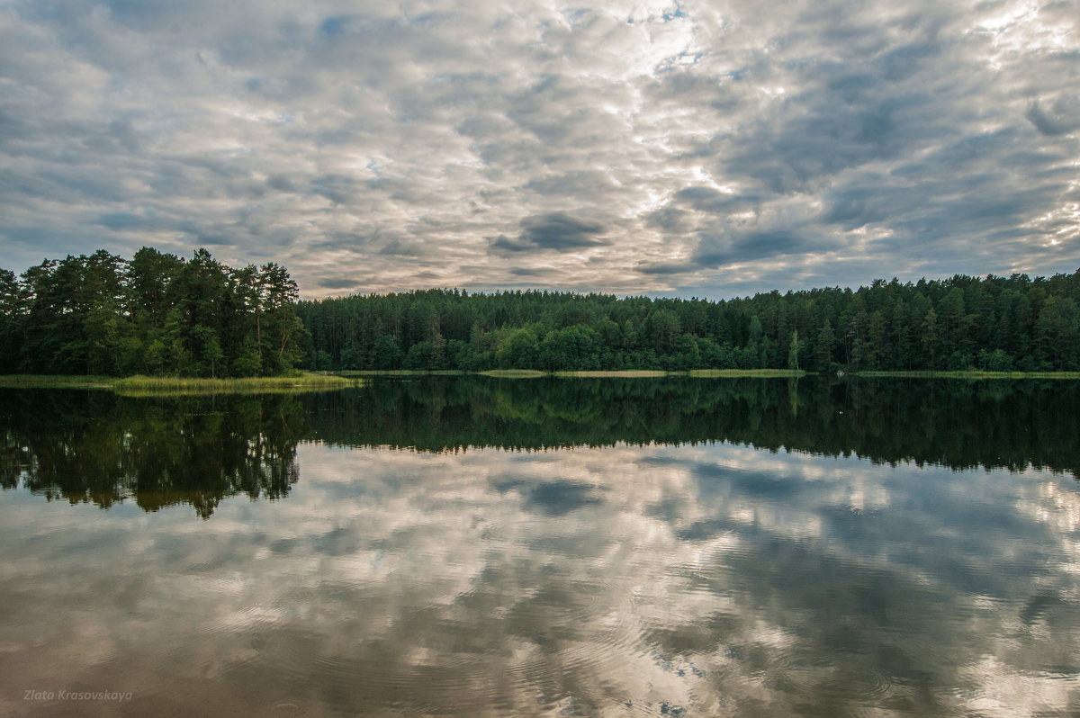 Лесное озеро - Злата Красовская