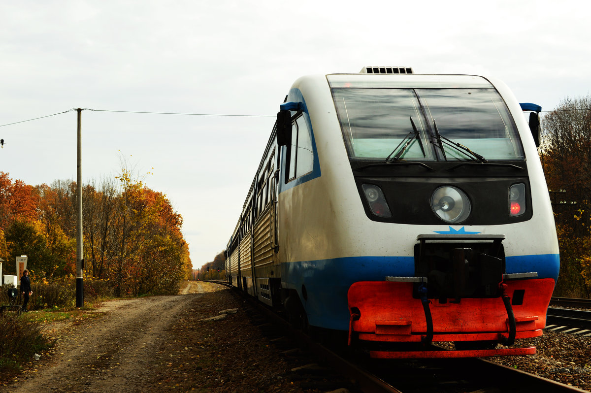 Поезд Поворино-Жердевка - Алина Леликова
