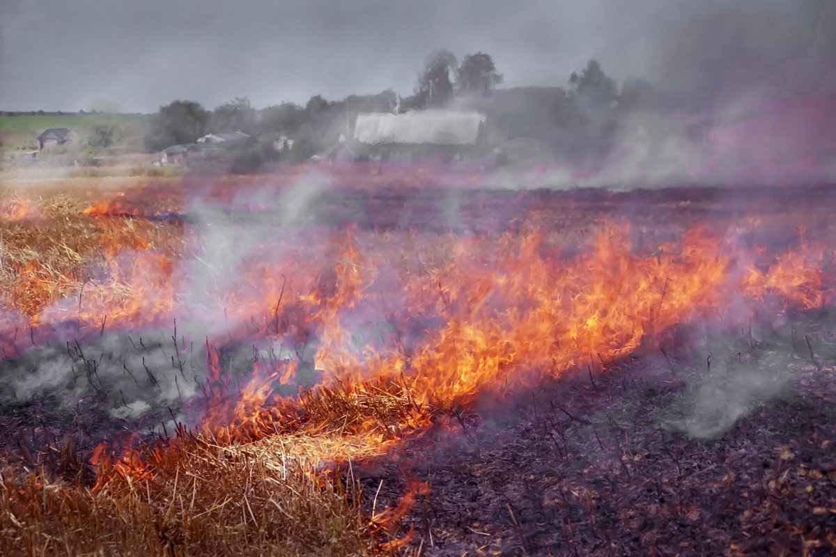 Пожар на ячменном поле - Валерий Талашов