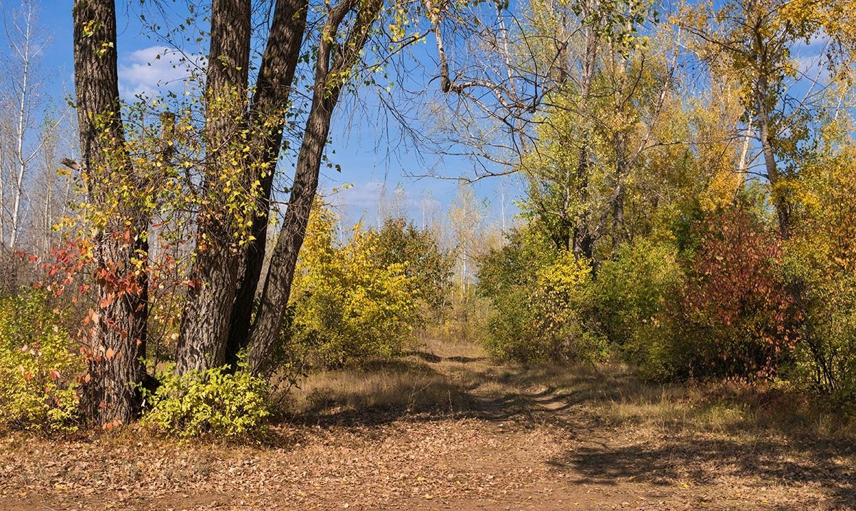 Краски ранней осени - Любовь Потеряхина