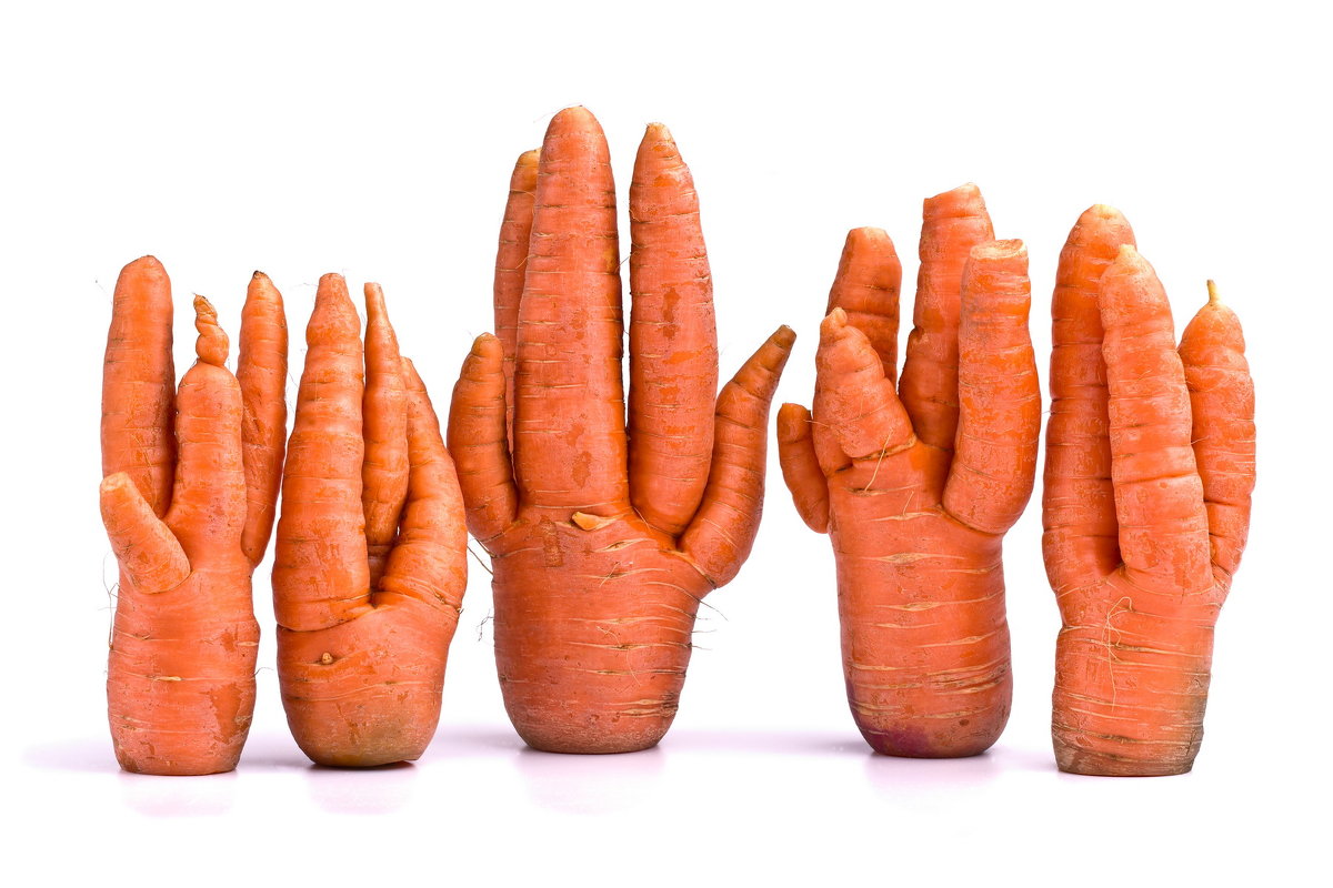 Морковные кактусы - Валерий Бочкарев