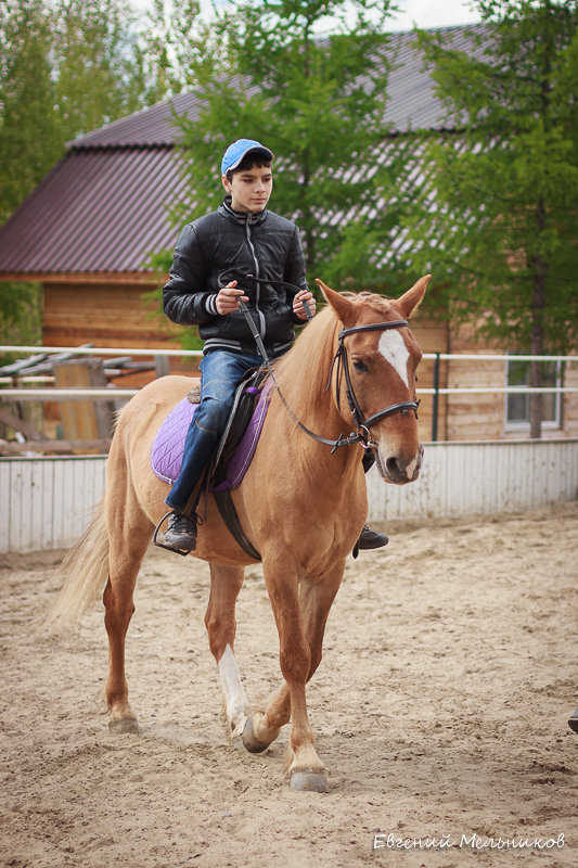 *** - Евгений Мельников