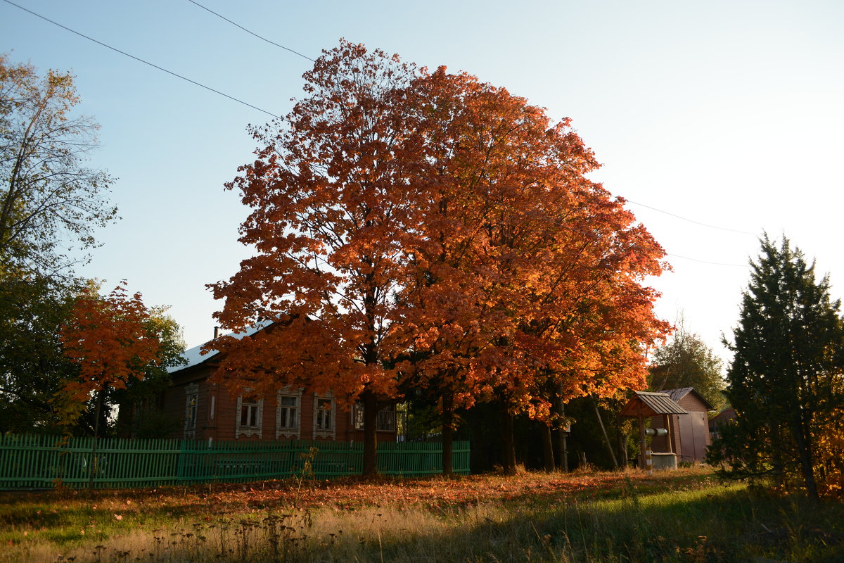 Осень в деревне - Виктор Замятин
