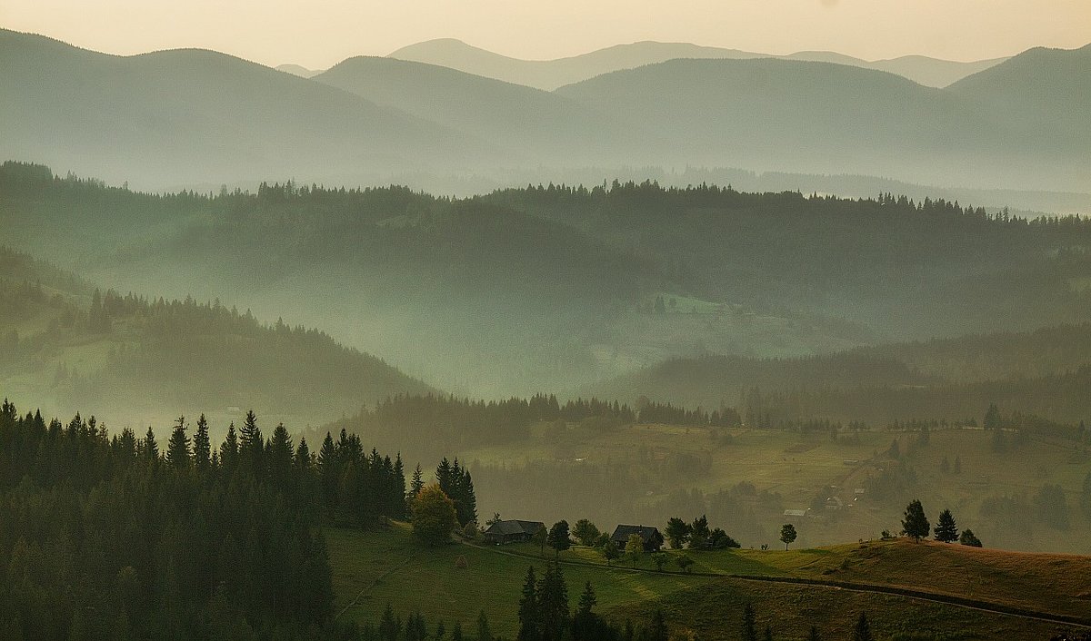 *** - Андрій Кізима