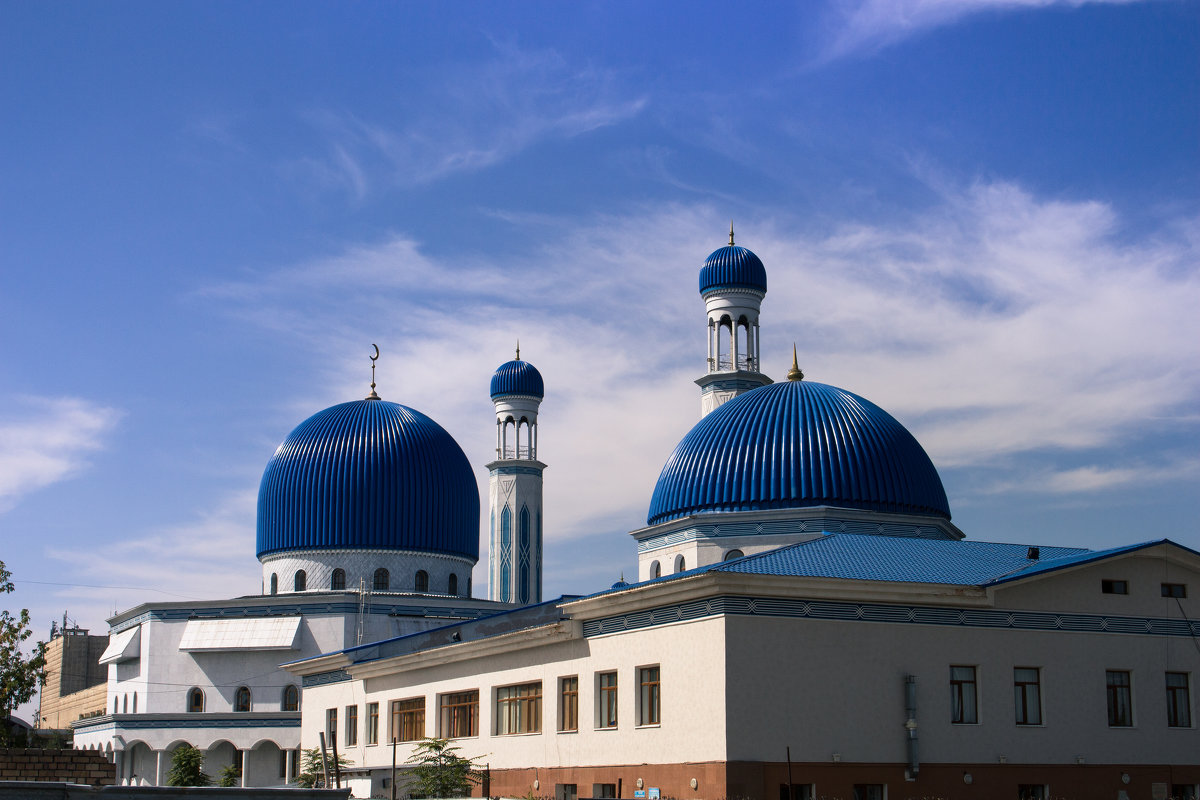 Купола мечети в Таразе под цвет неба - Svetlana Bikasheva