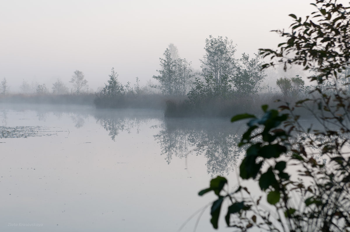 Утренний туман - Злата Красовская