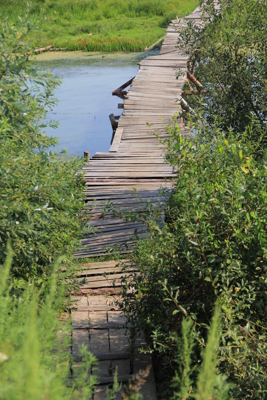 мостик через Хреновский затон - alecs tyapin