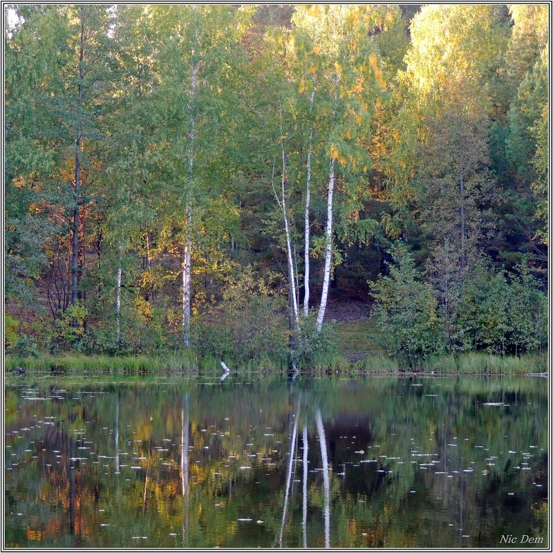 Вечер на озере - Николай Дементьев 