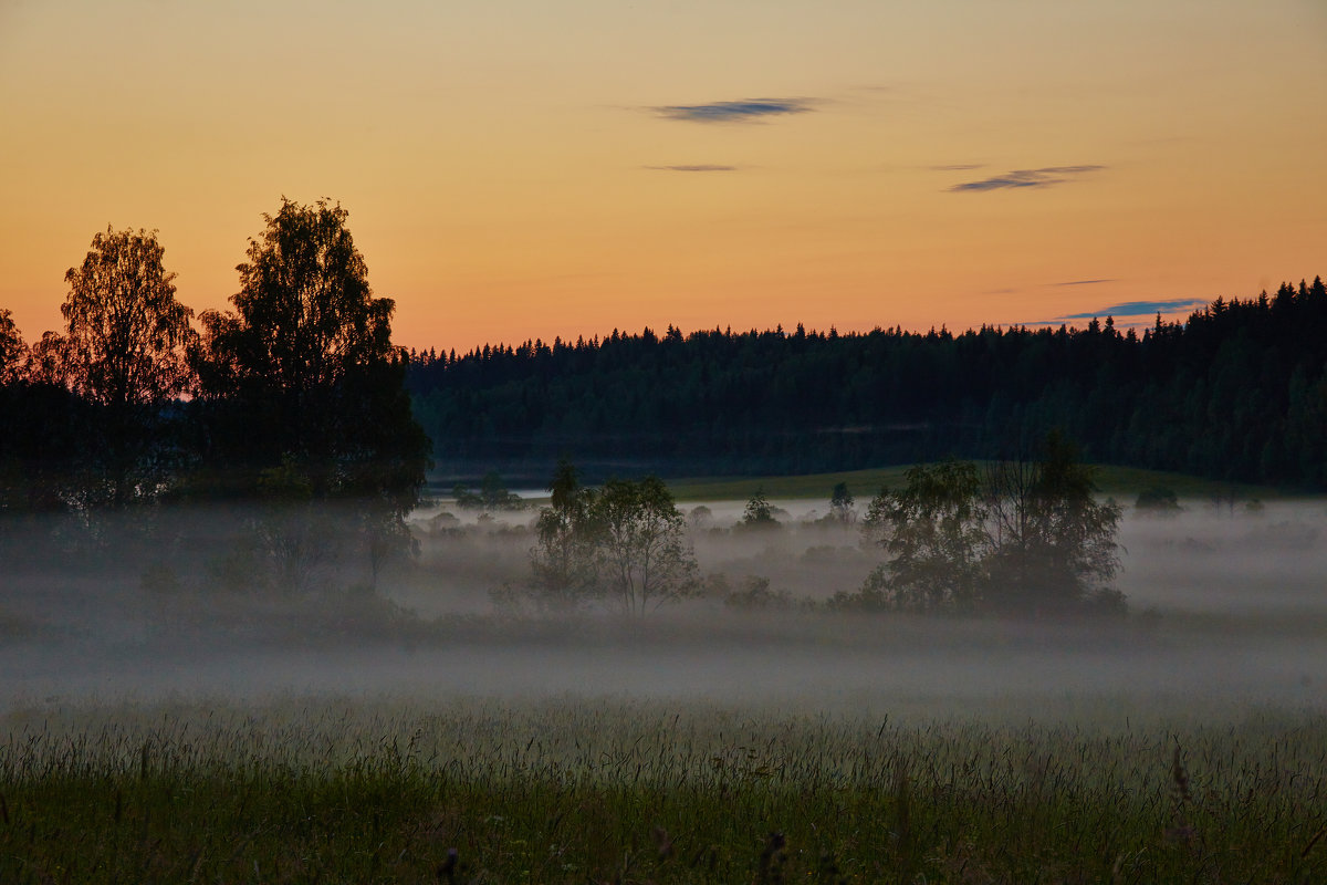 Туманный закат возле финской границы - Сергей Батищев