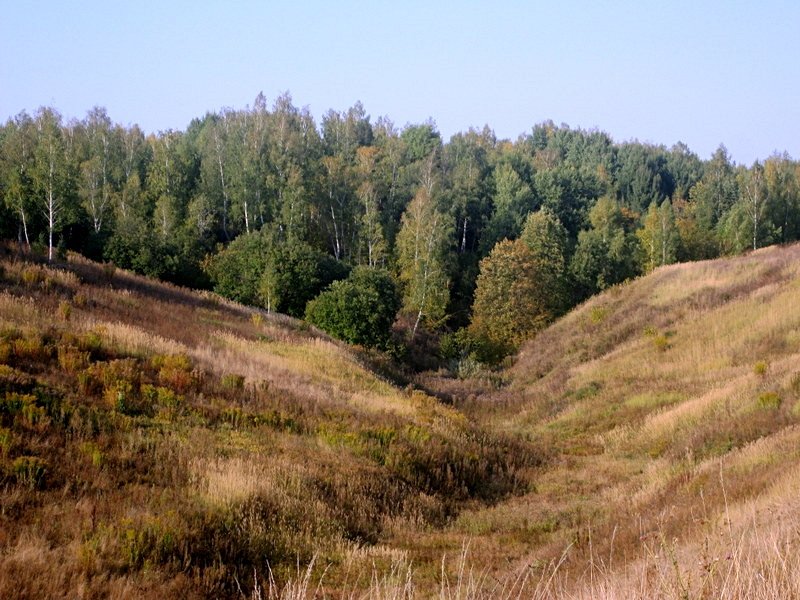 Осень в Орловской области