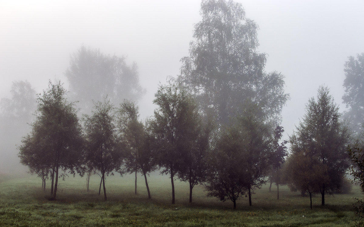 Утренний туман - Valerii Ivanov