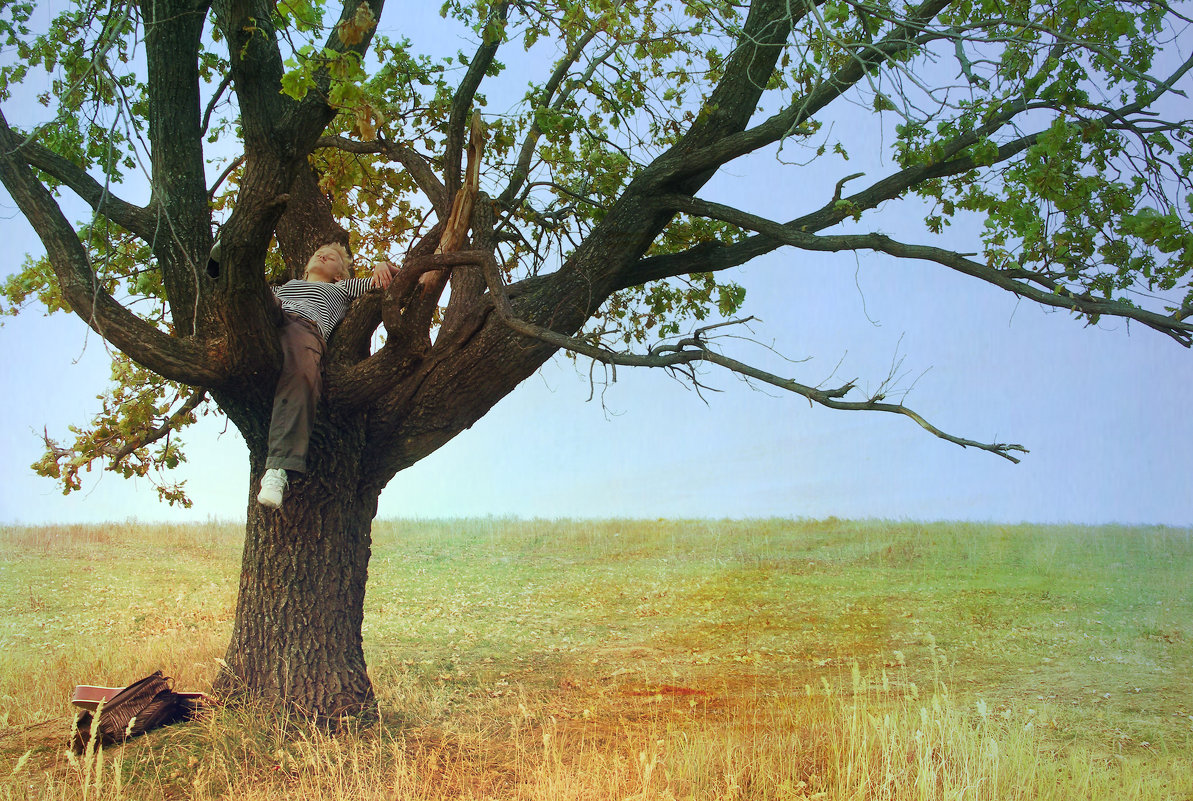 Ольга Полякова - Лето на дереве - Фотоконкурс Epson