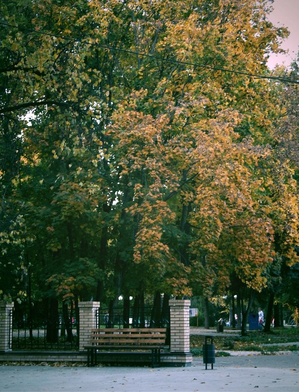 autumn - Александра Богданова