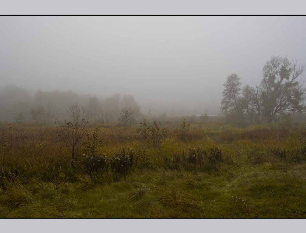 Туман на лугу - Weles 