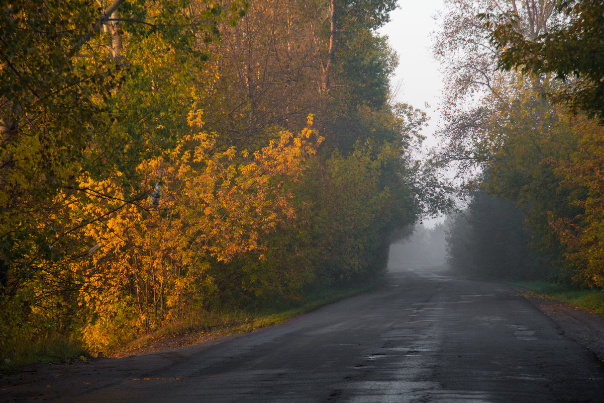 Дорога в осень - Мария Парамонова