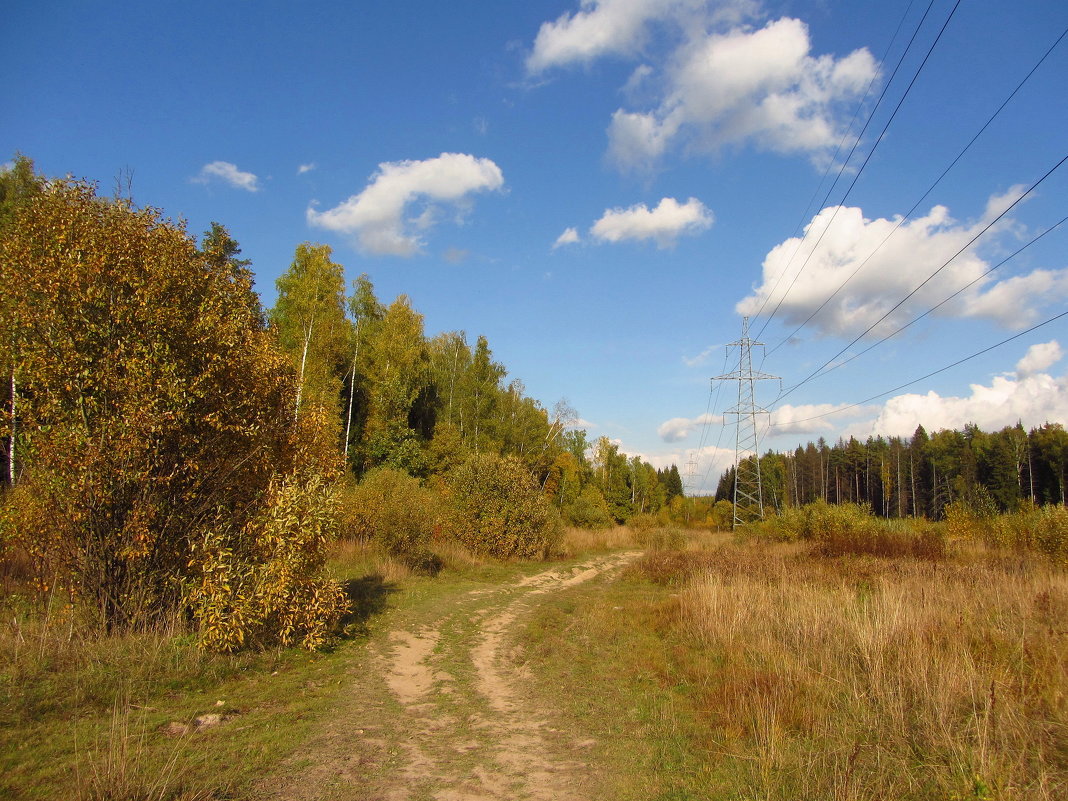 Осень в Абрамцеве IMG_1686 - Андрей Лукьянов