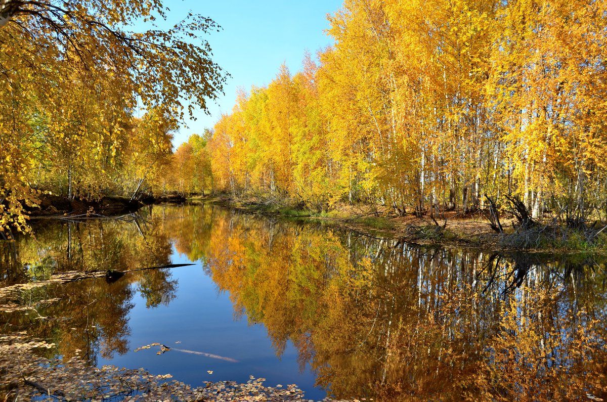 осенний водоем - Просто Наташка;-)