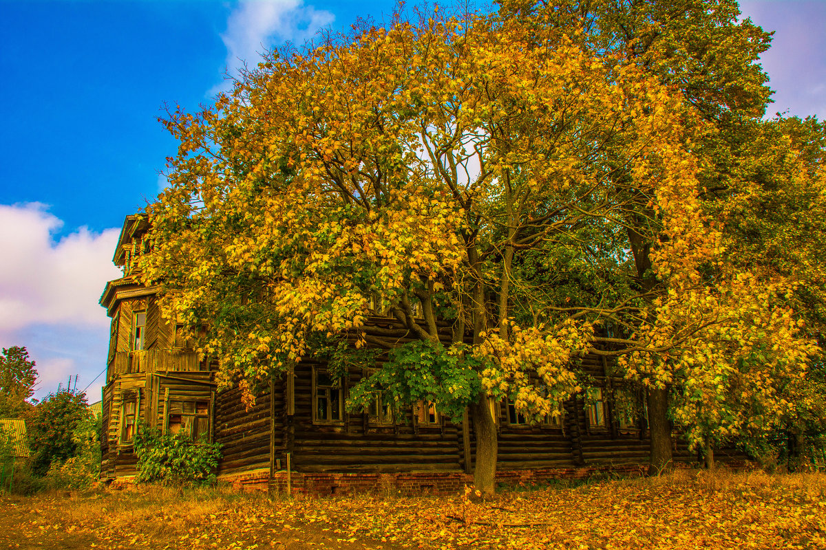 Осень - Александр Чехановский