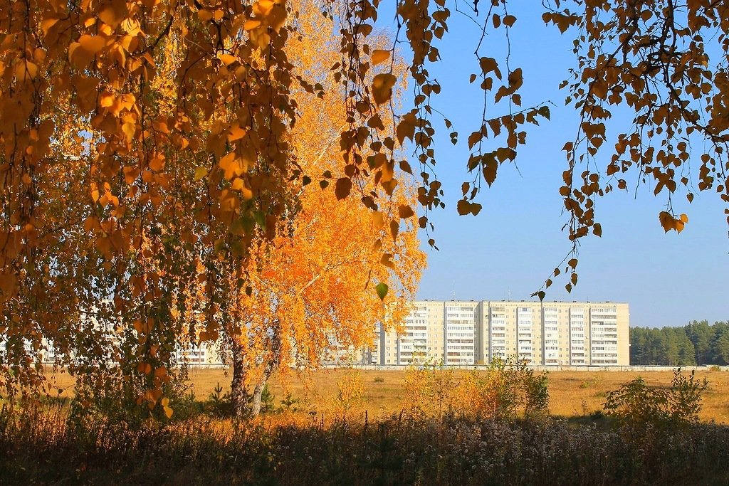 Осень в городе - Галина Стрельченя
