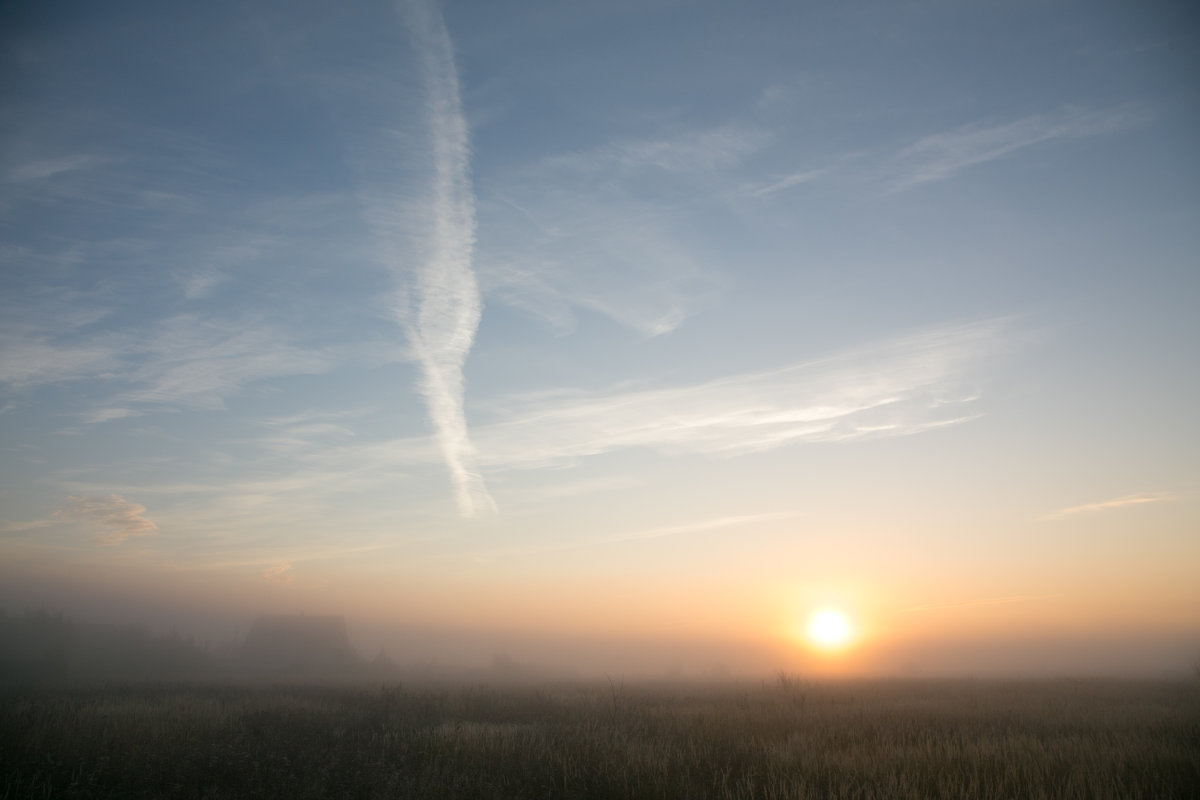 Красота туманного утра - Наталья 