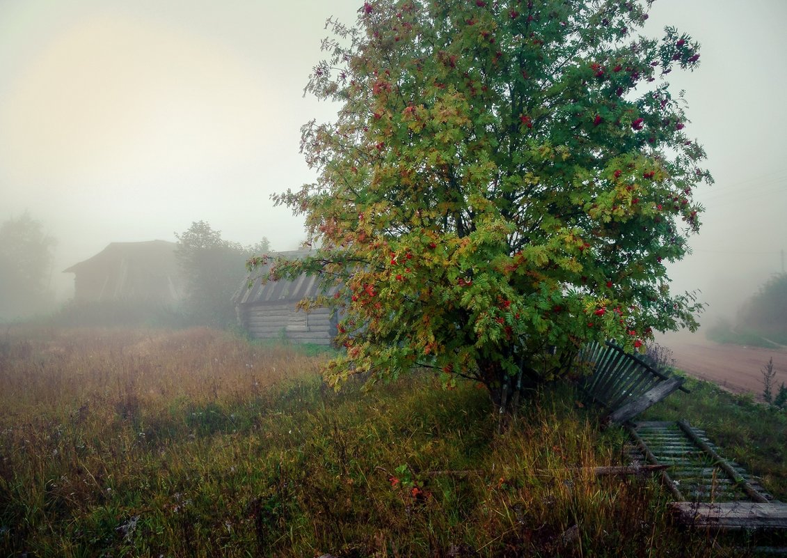 Деревня в утреннем тумане... - Федор Кованский