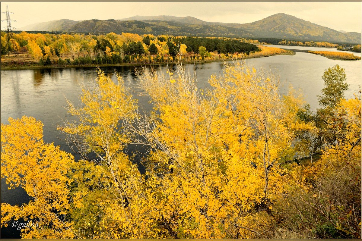 Золотая осень за рекою....  Деревьев наряд огневой - galina tihonova
