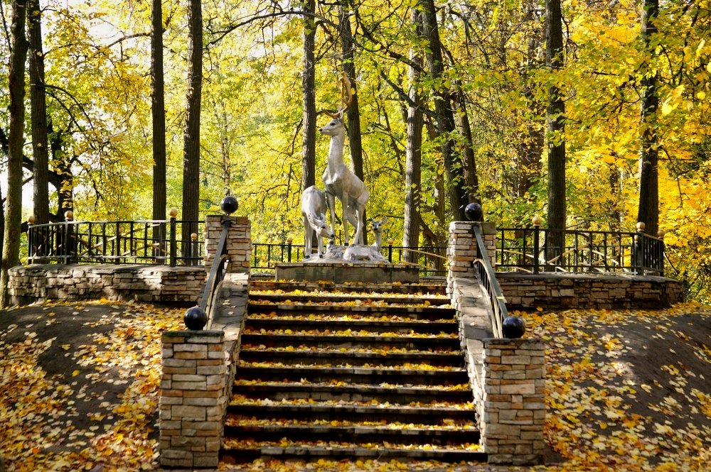 В осеннем парке - Сергей Жданов