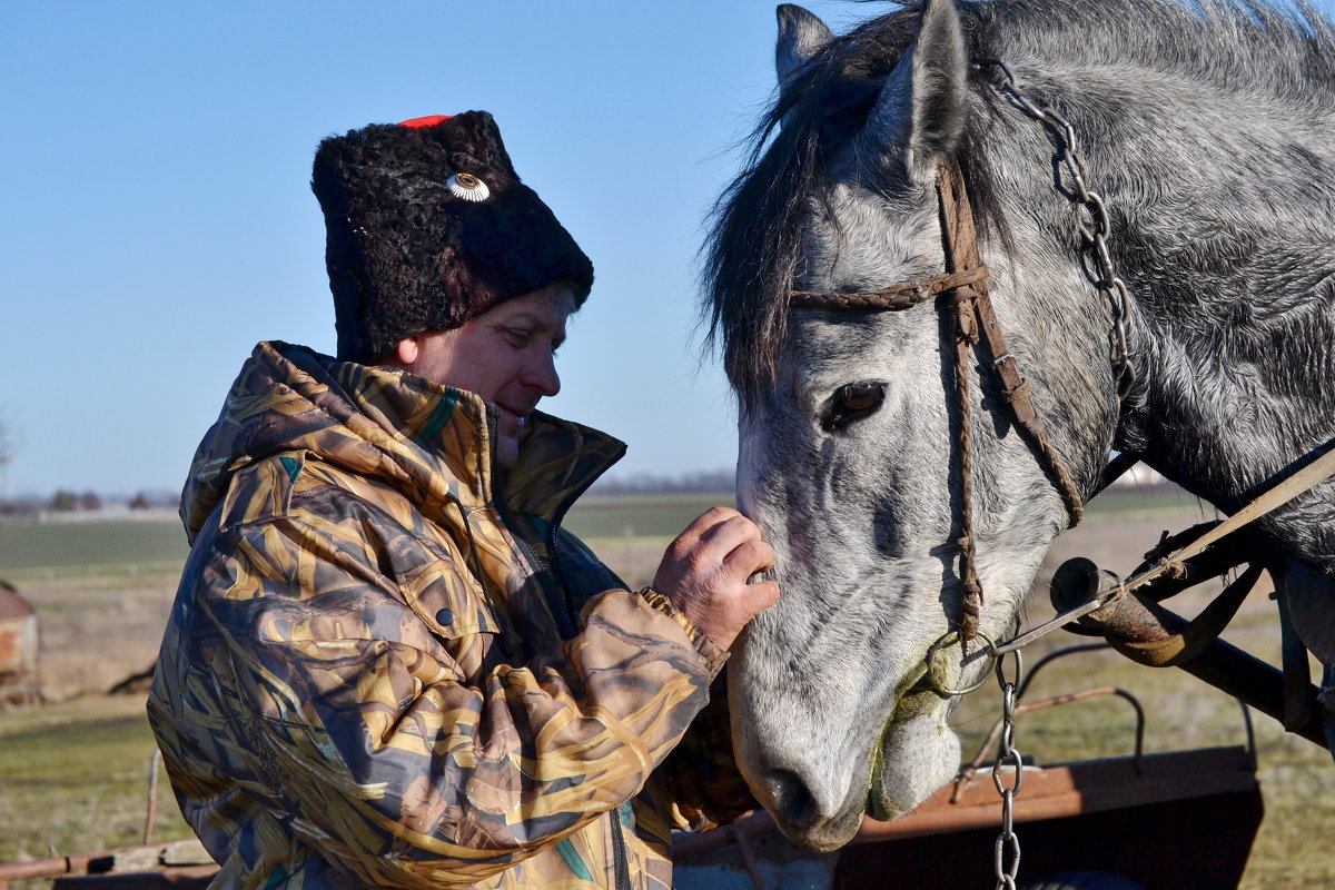 Мой конь - Сергей 