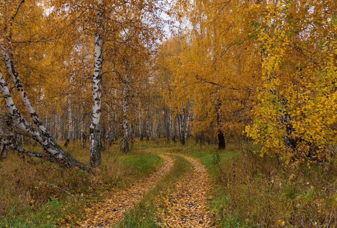 золотая пора - Vlad Us