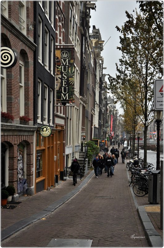 Поздняя осень в Амстердаме... - Aquarius - Сергей
