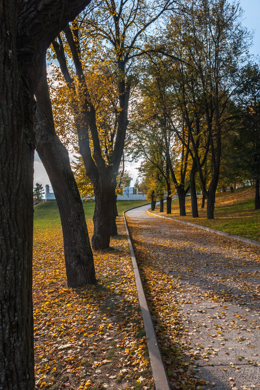 ... - Александр Дмитриев