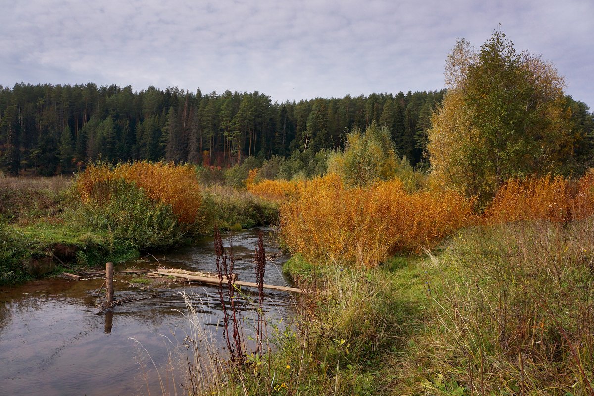 *** - Алексей Golovchenko