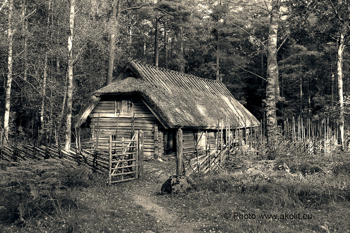 Fotostuudio Akolit, Tallinn - Аркадий  Баранов Arkadi Baranov