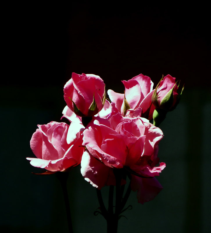 Букетик милых роз - Наталья (D.Nat@lia)