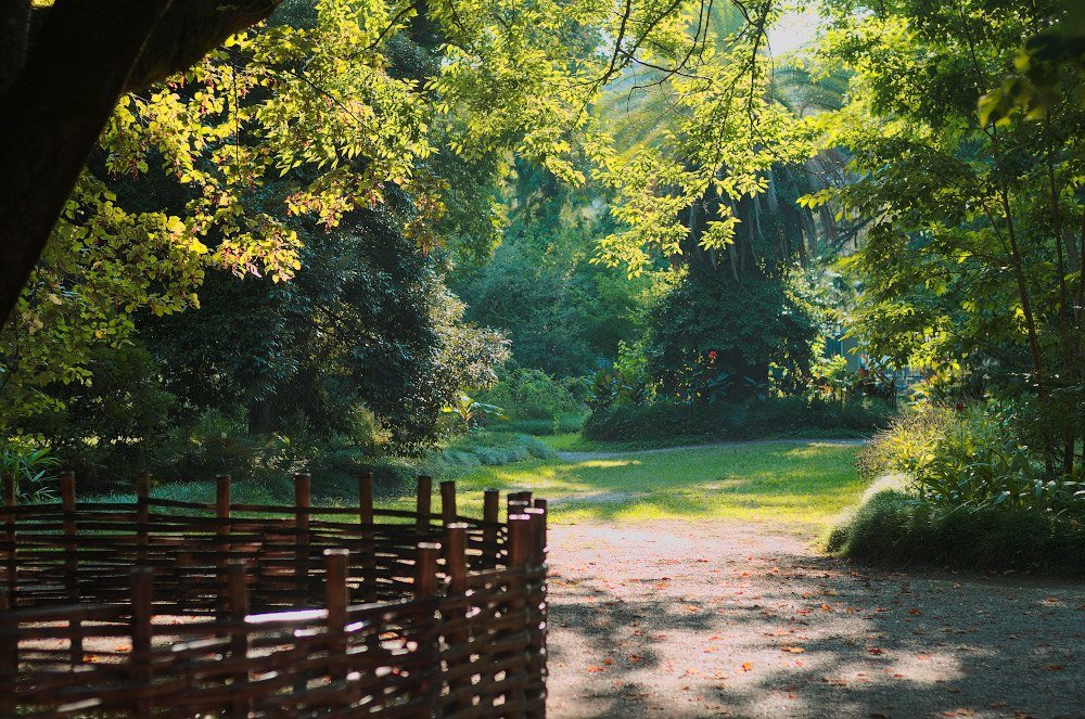 Ботанический сад - Денис Кузнецов