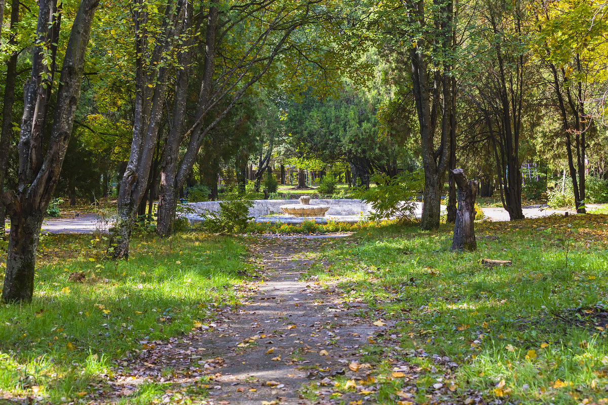 Старый городской парк - Николай Николенко